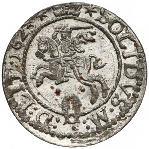 Zygmunt III Waza, Szeląg Wilno 1623 - kropki - piękny 