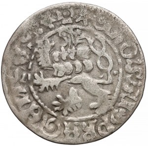 Czechy, Władysław II Jagiellończyk (1471-1516), Grosz Praski - dwukropek