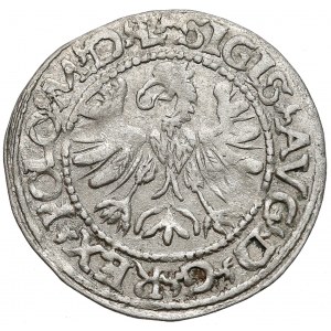 Zygmunt II August, Półgrosz Tykocin 1566 - mały Jastrzębiec - b. rzadki