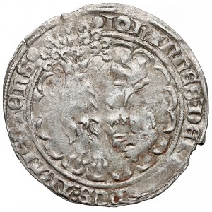 Utrecht, Jan von Verenburg (1364-1371) Double gros an lion