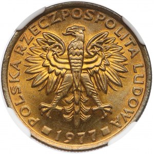 2 złote 1977 - NGC MS67 (MAX)