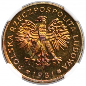 2 złote 1981 - lustrzanka - NGC PF67 C (Max PF)