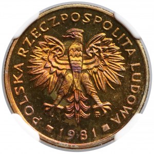 2 złote 1981 - lustrzanka - NGC PF67 C (Max PF)