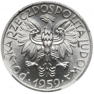 5 złotych 1959 Rybak - NGC MS66