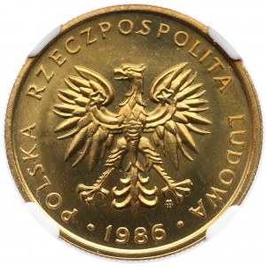 5 złotych 1986 - NGC MS67 (MAX)