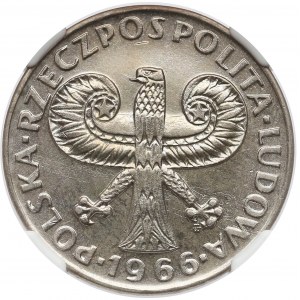 10 złotych 1966 Mała Kolumna - NGC MS64