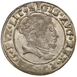Zygmunt II August, Grosz na stopę litewską 1546 - piękny