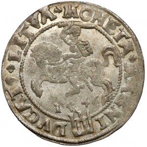 Zygmunt II August, Grosz na stopę litewską 1546 - piękny