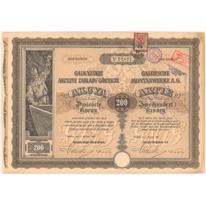 Galicyjskie Zakłady Górnicze, 200 koron 1907