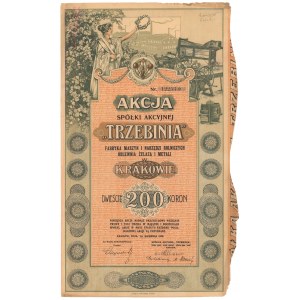 TRZEBINIA Fabryka Maszyn i Narzędzi Rolniczych Odlewnia Żelaza i Metali, 200 koron 1919