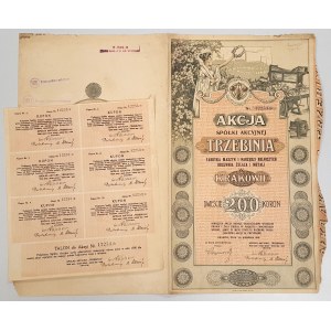 TRZEBINIA Fabryka Maszyn i Narzędzi Rolniczych Odlewnia Żelaza i Metali, 200 koron 1919