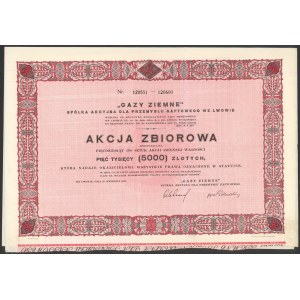 GAZY ZIEMNE Spółka Akcyjna dla Przemysłu Naftowego, 50x 100 zł 1931