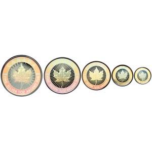 Kanada, Elżbieta II, 1-5 dolarów 2003 hologram, komplet (5szt)