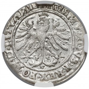 Zygmunt I Stary, Grosz Wilno 1535 - NGC MS61