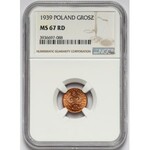 1 grosz 1939 - NGC MS67 RD (MAX)