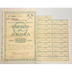Towarzystwo dla Przedsiębiorstw Górniczych TEPEGE w Krakowie, 700 mkp 1921