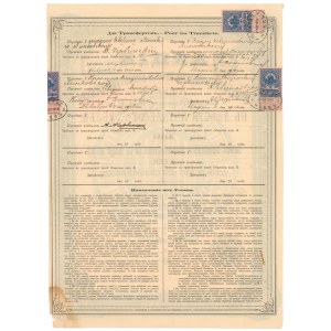 Południowo-Ruskie Towarzystwo Handlu Towarami Aptecznymi w Kijowie, 250 rubli 1882