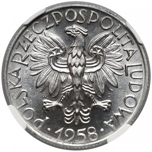 5 złotych 1958 Rybak - BAŁWANEK - NGC MS65