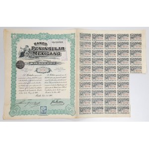 Mexico, Banco Peninsular Mexicano, Merida, 100 Pesos 1908