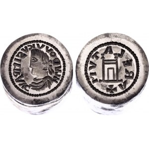 Italian States Louis the Pious Portrait Denier 814 - 840 AD Counterfeit's Dies of 20th Century