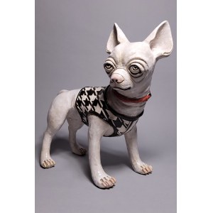 Ida, the Chihuahua in a sweater