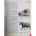 [Bohdan Butenko] O książce. Mała encyklopedia dla nastolatków.