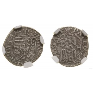 Hungary, denarius, no date (1500-1502), Kremnica