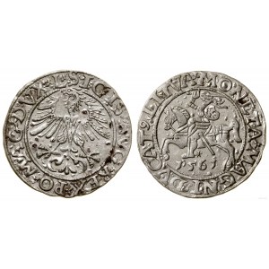 Polen, halber Pfennig, 1561, Vilnius