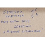 Grzegorz Skrzypek (b. 1970, Sosnowiec), Honey memories, 2022