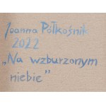 Joanna Półkośnik (b. 1981), In a Troubled Sky, 2022