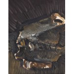 Jacek Sienicki (1928 Varšava - 2000 Varšava), Zo série Lebky, 1983