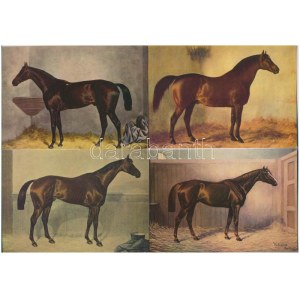 LOVAK - 20 db modern képeslap / HORSES - 20 modern postcards