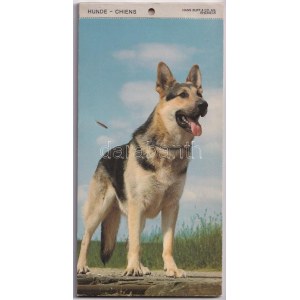 KUTYÁK - modern képeslapfüzet 13 képeslappal / DOGS - modern postcard booklet with 13 postcards