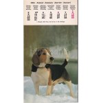 KUTYÁK - modern képeslapfüzet 13 képeslappal / DOGS - modern postcard booklet with 13 postcards