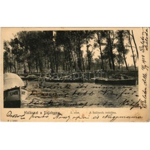1905 Balaton, Halászat a Balatonon I. A halászok indulása, Kamor csónak (EK)