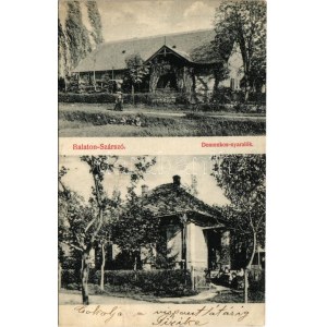 1910 Balatonszárszó, Domonkos nyaralók. Márkus Benő kiadása