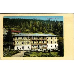 1913 Feketehegyfürdő, Feketehegy, Cernohorské kúpele (Merény, Vondrisel, Nálepkovo); Új gyógyház / new sanatorium, spa ...