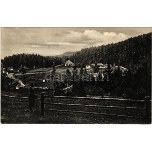 1928 Iglófüred, Spisská Nová Ves Kupele, Novovesské Kúpele; Fábryova vila / Fábry villa / villa, spa (EK...