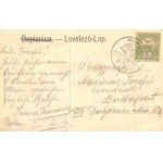 1907 Crikvenica, Cirkvenica; Velebit egycsavaros tengeri személyszállító gőzhajó a kikötőben / steamships in the port ...