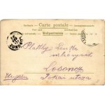 1901 Mali Losinj, Lussinpiccolo; litho (kis szakadás / small tear)