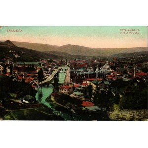 1913 Sarajevo, Cijeli Pogled / Totalansicht / general view (EK)