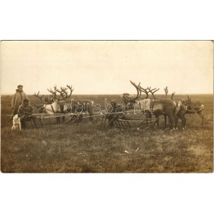 1916 Tobolsk, Tobolszk; Nordic Sami (Laplander) family with reindeer.sleighs and dog. photo (EK)