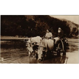 Román cigányok marhaszekéren. Collectia A. Bellu / Romanian gypsy on cattle cart, folklore. Edit. C...