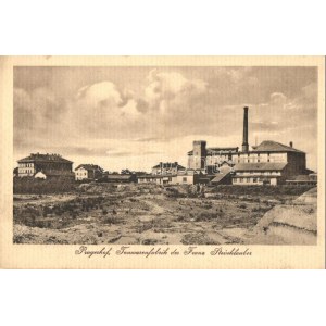 Pragersko, Pragerhof; Tonwarenfabrik des Franz Steinklauber / Pottery factory