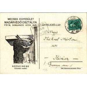 1935 Széncinege (odúlakó madár). Mecsek Egyesület Madárvédő Osztálya, Pécs, Damjanich utca 13/3. / Great tit bird ...
