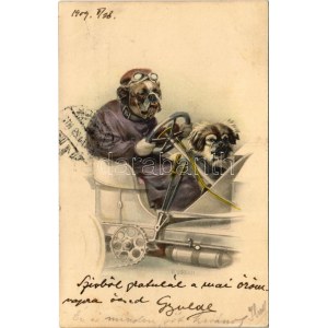 1909 Kutya sofőr / Dog automobile driver. M. M. Nr. 393. s: R. Ulreich