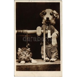 Circus, dog show (EK)