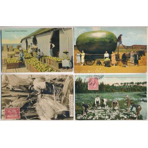 4 db RÉGI folklór motívum képeslap, közte 1 modern / 4 pre-1945 folklore motive postcards (USA, Canada)...