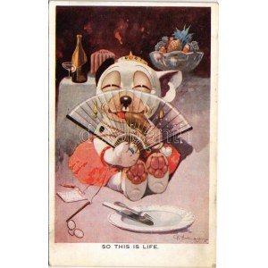 1927 So this is life Bonzo dog. A.R. & Co. i. B. 1584. s: G. E. Studdy (EK)