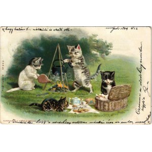 1899 (Vorläufer) Macska piknik / Cat picnic. Kunstanstalt Wilhelm Boehme Postkarte No. 222. litho (EK...